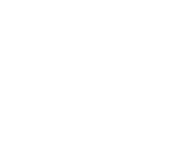 Evolution games at 31 Bet Casino